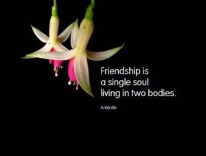 Inspirational Friendship Quotes for Women: Celebrating the Power of Sisterhood 8 Friendship Quotes Wallpapers 2012.3 - Inspirational Friendship Quotes for Women: Celebrating the Power of Sisterhood
